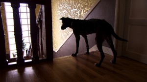 The-Lady-With-a-Dog_1
