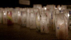 plp-candles